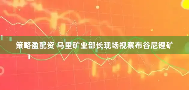 策略盈配资 马里矿业部长现场视察布谷尼锂矿